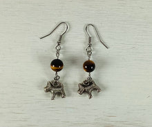 Load image into Gallery viewer, Tiger Eye Earrings by Nev
