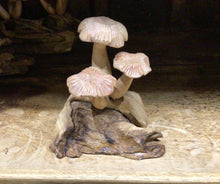 Load image into Gallery viewer, Wooden Mushroom Cluster
