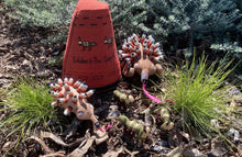 Load image into Gallery viewer, Echidna is the Spiny Ant Eater