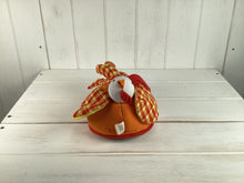 Load image into Gallery viewer, Chicken Life Cycle Set