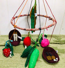 Load image into Gallery viewer, Australian Bush Foods Mobile