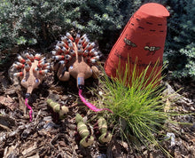 Load image into Gallery viewer, Echidna is the Spiny Ant Eater