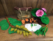 Load image into Gallery viewer, Indigenous Bush Medicine Playset