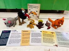 Load image into Gallery viewer, Embedded in our Days… Acknowlegement of our Ways Activity Set game