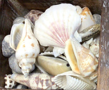 Load image into Gallery viewer, Nature Sensory Play Set