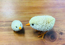 Load image into Gallery viewer, Bristlebrush Figures