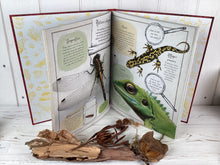 Load image into Gallery viewer, Wild Things Book