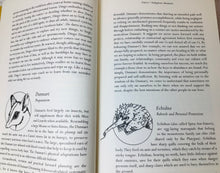 Load image into Gallery viewer, Animal Dreaming Book