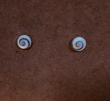 Load image into Gallery viewer, Shiva Shell Stud Earrings

