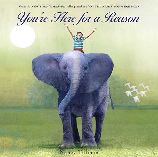 You're Here For A Reason Board Book