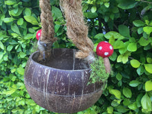 Load image into Gallery viewer, Coconut Basket
