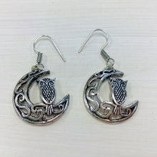 Load image into Gallery viewer, Sadie Owl and Moon Earrings
