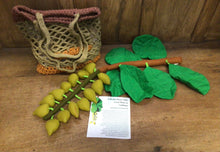 Load image into Gallery viewer, Indigenous Bush Medicine Playset
