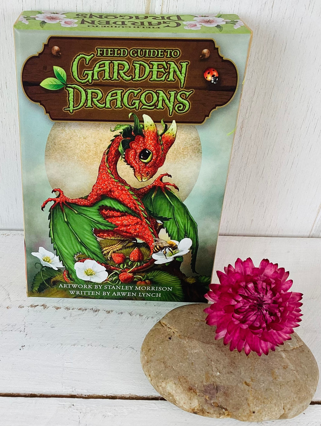 Garden Dragons Mystical Message Card Set