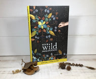 Your Wild Imagination by Brooke Davis