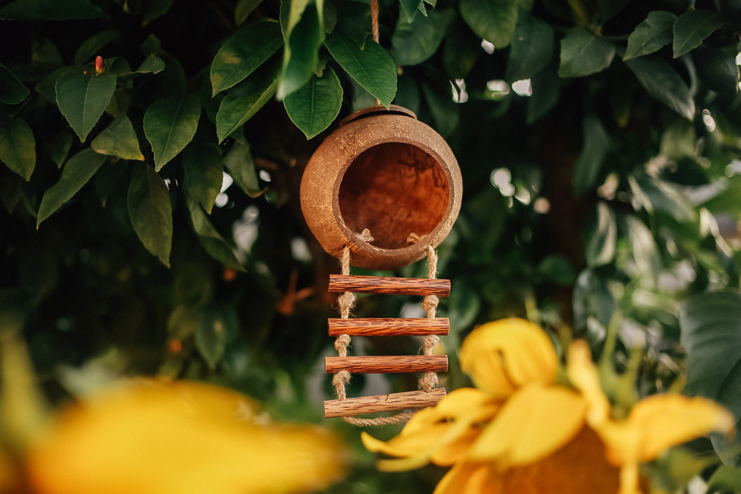 Coconut Fairy/Bird House